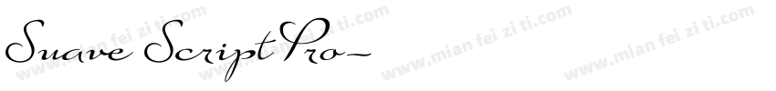 Suave Script Pro字体转换